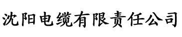 家庭教师伦理电缆厂logo